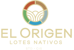 proyectoelorigen.com